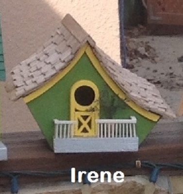 007 Irene Image