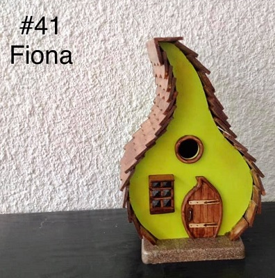 041 Fiona Image