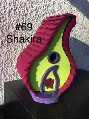 069 Shakira Image