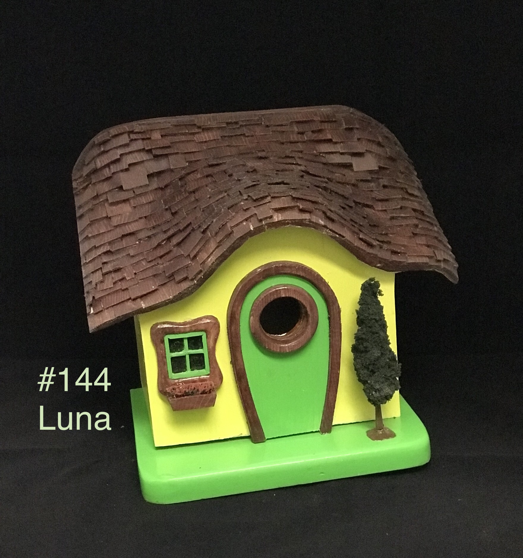 144 Luna Image