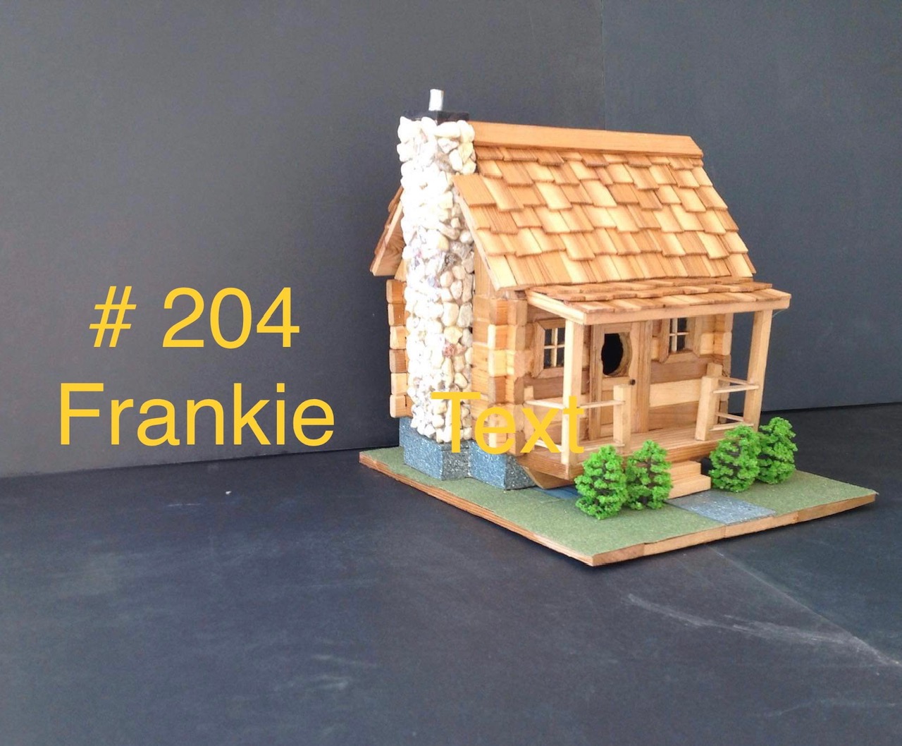 204 - Frankie Image