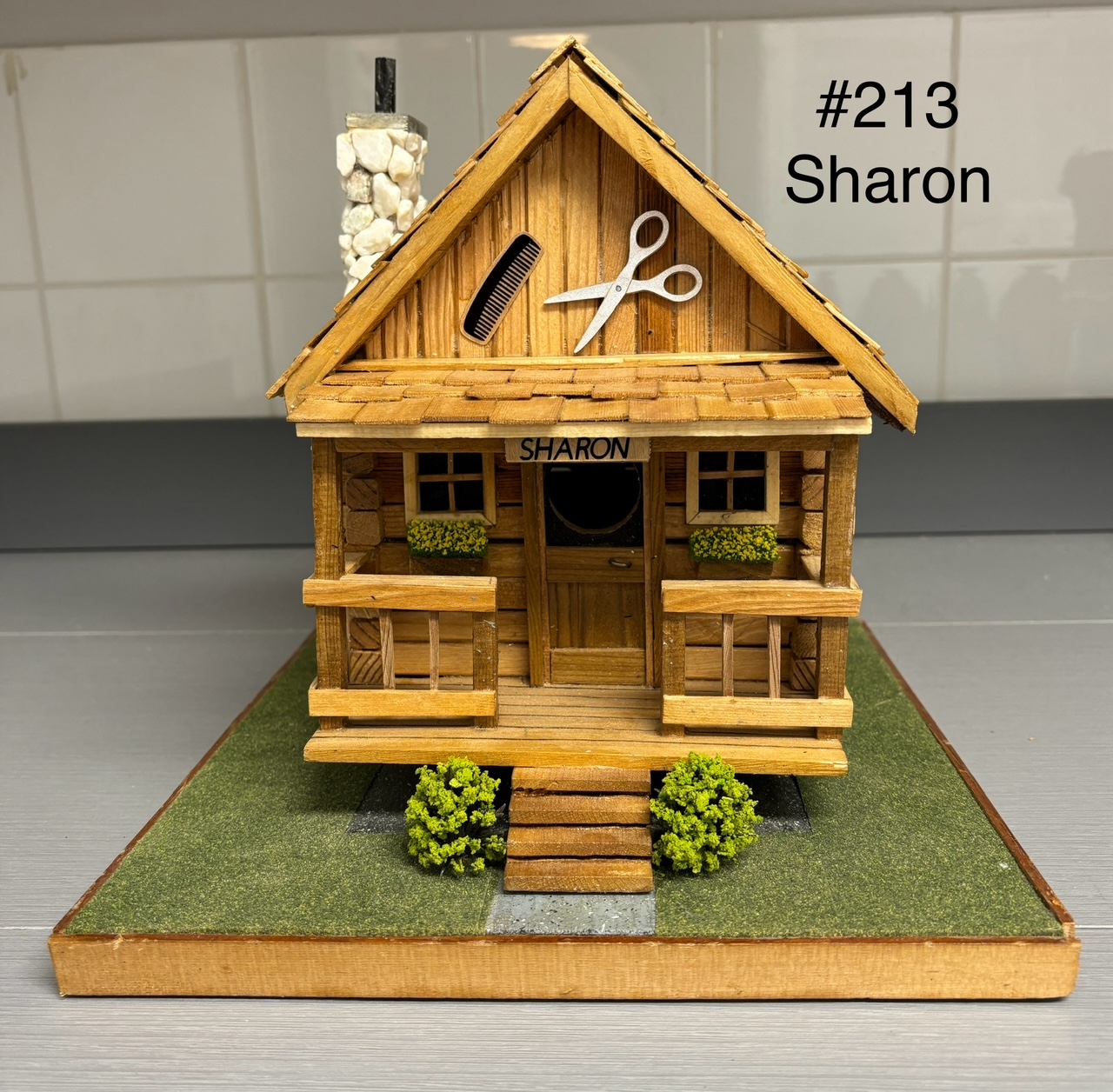 213 - Sharon Image