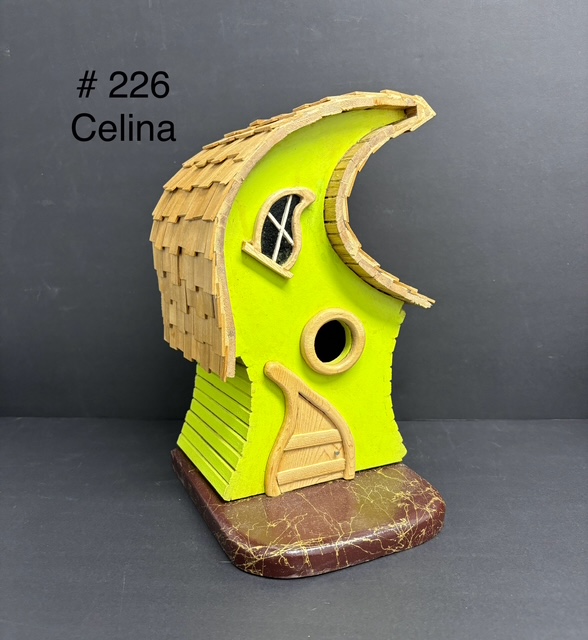 226 - Celina Image