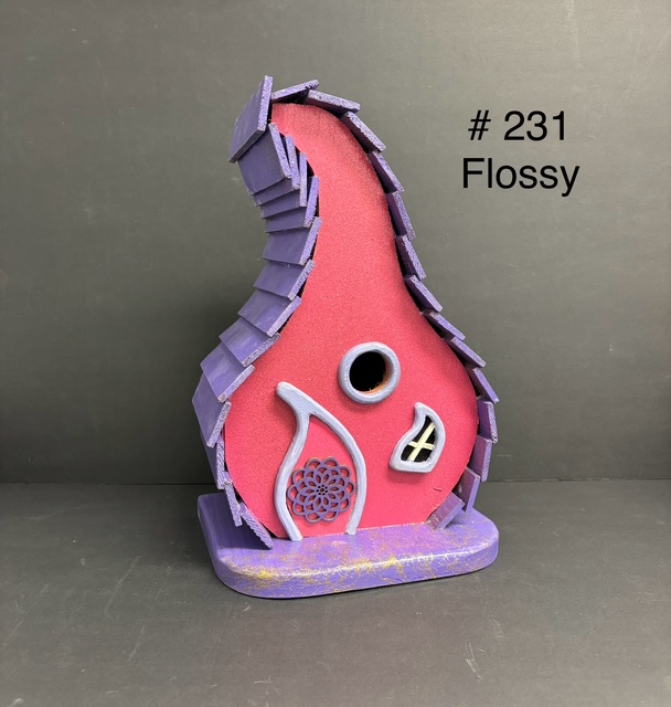 231 - Flossy Image